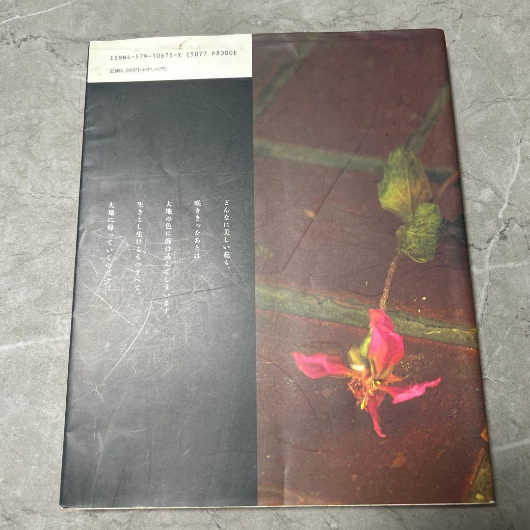 枯れていく花 山上るい